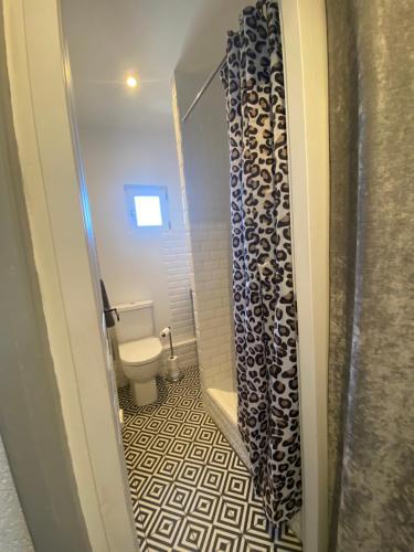 een badkamer met een toilet en een douchegordijn bij appartement a 50 m de la place aux herbes in Uzès