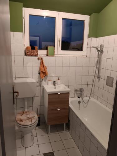 Koupelna v ubytování Apartman Dunav