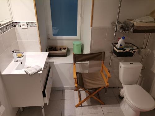 a bathroom with a white sink and a toilet at La dépendance, petite maison au calme in Vallon-sur-Gée