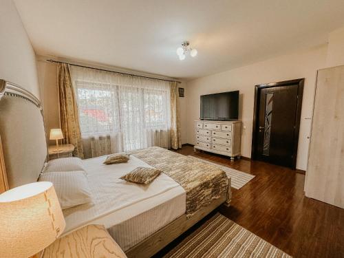 a bedroom with a large bed and a television at Casa Diecilor in Vatra Dornei