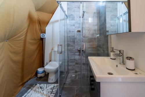 a bathroom with a shower and a sink and a toilet at Yeşilçam Glamping in Çakırlar