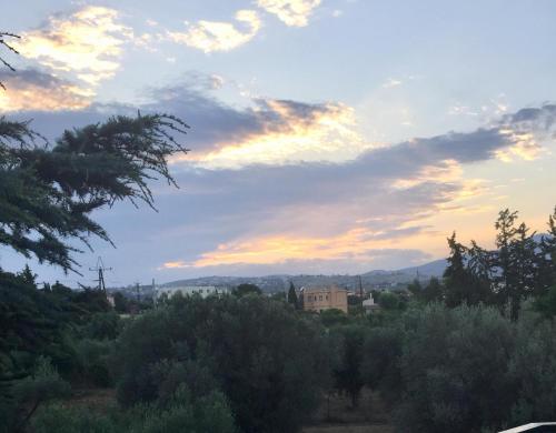 a view of a sunset from a field with trees at Small apartment near Athens Airport in Pikérmion