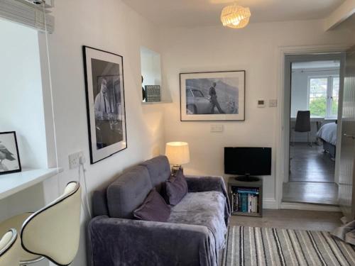 a living room with a couch and a tv at Sommersway Cottage in Brixham