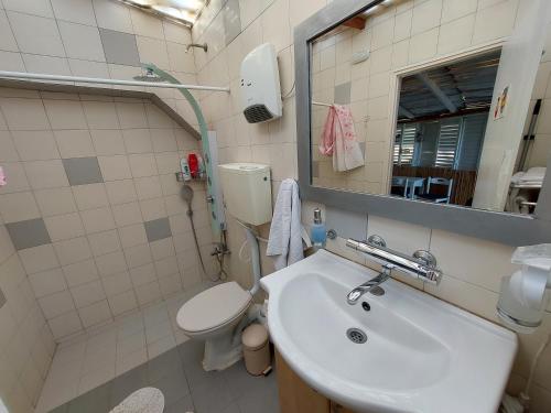 a bathroom with a sink and a toilet and a mirror at Indigo roof garden Apt. 1BR 1BA in Tel Aviv