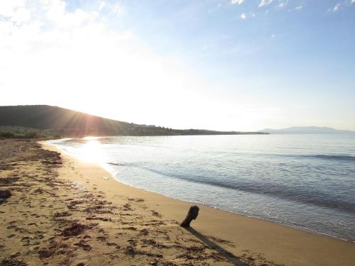 une personne debout sur une plage où le soleil brille dans l'établissement Zafira Retreat, à Vatopedi
