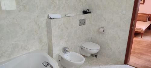 een badkamer met een toilet, een bad en een wastafel bij Chateau Radvanov Pension in Mladá Vožice
