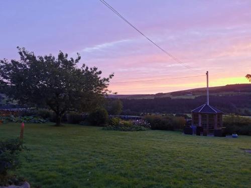 a yard with a small house in a field at The cottage in Alston