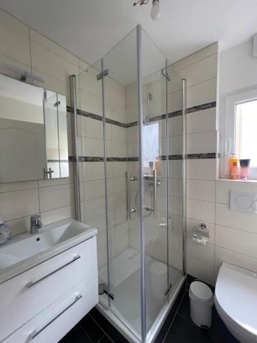 La salle de bains est pourvue d'une douche, d'un lavabo et de toilettes. dans l'établissement Cozy and central Apartment Lübeck, à Lübeck