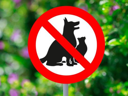 a red prohibitory sign with two cats at Wy & Spa in Pobierowo