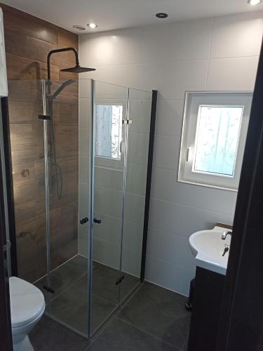 a bathroom with a shower and a toilet and a sink at Chata na Biłaszu in Bukowiec