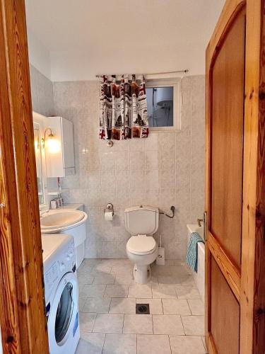 uma casa de banho com um WC, um lavatório e uma máquina de lavar roupa em Dimitra House Entire apartment with balcony and view em Pherrai