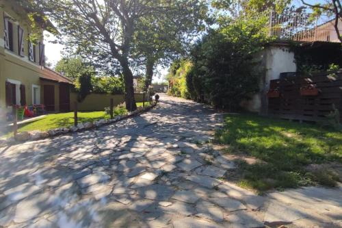 Okolí apartmánu