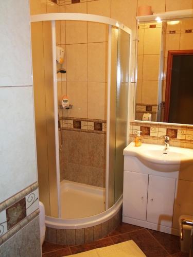 a bathroom with a shower and a sink at Bed & Breakfast Vila Stanišić in Požega