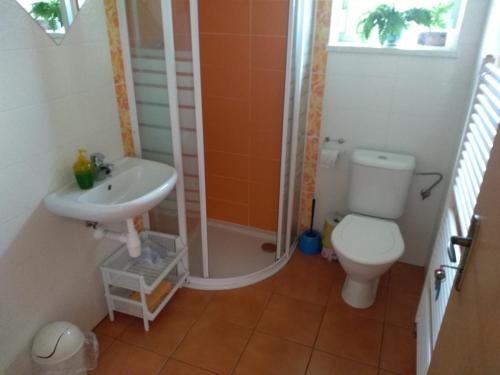 W łazience znajduje się toaleta, umywalka i prysznic. w obiekcie Ubytování Svatá Trojice w mieście Trhové Sviny