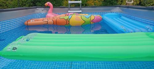 une piscine gonflable avec un flamant rose dans une piscine dans l'établissement LES ORCHIDEES Chambre Hôtes FUTUROSCOPE CHASSENEUIL POITIERS, à Jaunay-Clan