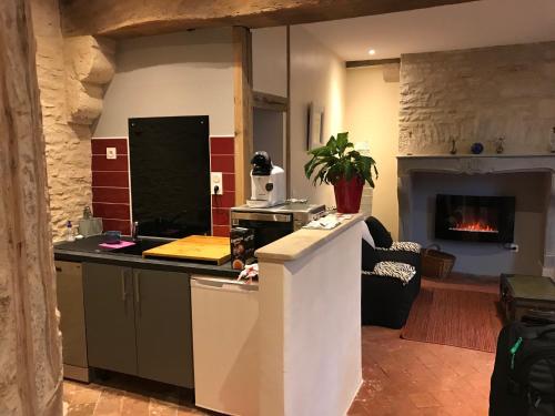 a kitchen with a counter and a living room with a fireplace at Au poids du Roy in Noyers