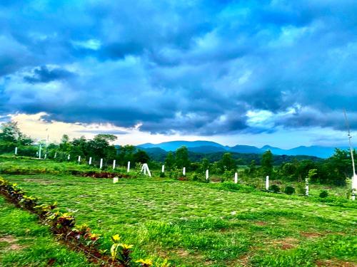 a grassy field with a cemetery under a cloudy sky at Sapthapadi Villas in Lammasingi
