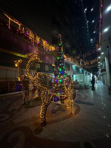 a statue of a horse and a christmas tree at Hyat Cleopatra Suites in Alexandria