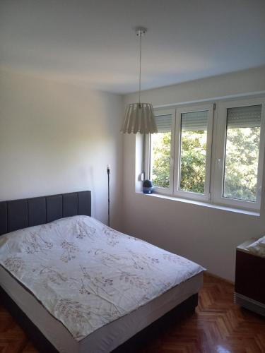 ein Schlafzimmer mit einem Bett und zwei Fenstern in der Unterkunft Gale in Jagodina