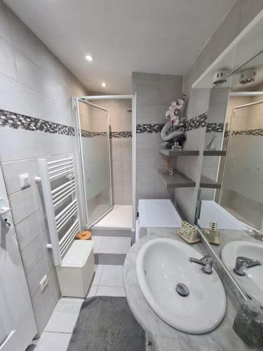 une salle de bain avec un lavabo et une douche dans l'établissement Dépendance de 30m² dans maison avec entrée privée, à Six-Fours-les-Plages