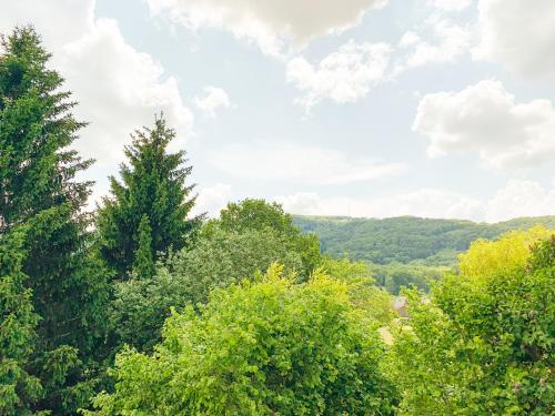 a group of trees with mountains in the background at Ferienhaus Rhön-Auszeit in Bischofsheim an der Rhön