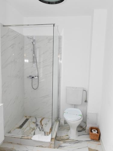 a bathroom with a shower and a toilet at Casa cu Scări in Lunca Mare