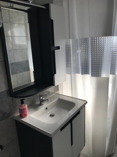baño con lavabo, espejo y cortina en Apartmani Golubina - Trn, Laktasi, BANJA LUKA en Grabljani