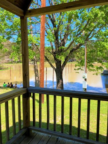 a porch with a view of a tree and water at Outback Campground and Marina in Trinity