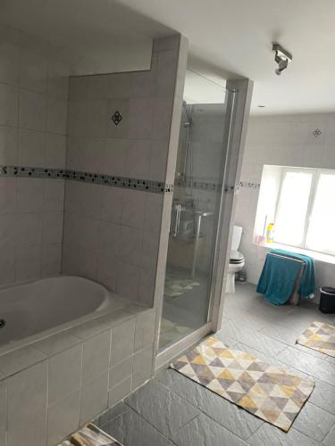 uma casa de banho com um chuveiro, uma banheira e um WC. em F1 Centre Historique Saint Valbert em Luxeuil-les-Bains