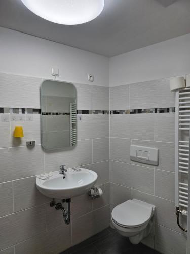 y baño con lavabo, aseo y espejo. en Cityappartement am Goethehaus, en Weimar