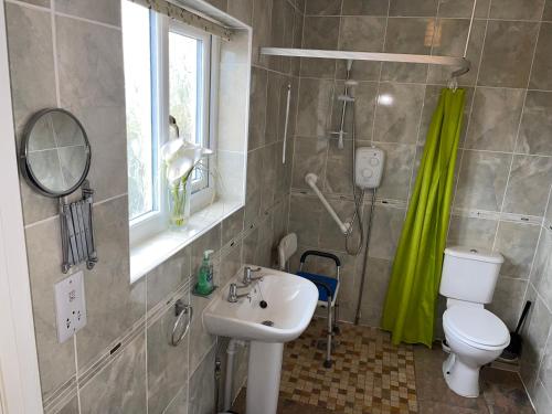een badkamer met een wastafel, een toilet en een spiegel bij Blackthorn Meadow in Pontypool