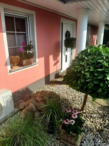 a house with a bunch of plants in front of it at Seeliebe mit Sauna und nur 50 mtr. bis zum Strand in Senftenberg