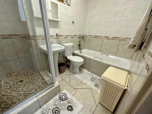 a bathroom with a toilet and a sink and a shower at Chamonix 16 in Margate
