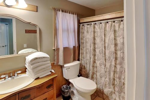La salle de bains est pourvue de toilettes, d'un lavabo et d'un miroir. dans l'établissement The Yellow House, à Gulf Breeze