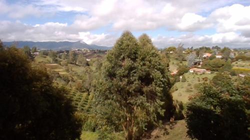 Vistas al bosque con árboles y edificios en villa nabusimaque by 100%Xanahoria, en Marinilla