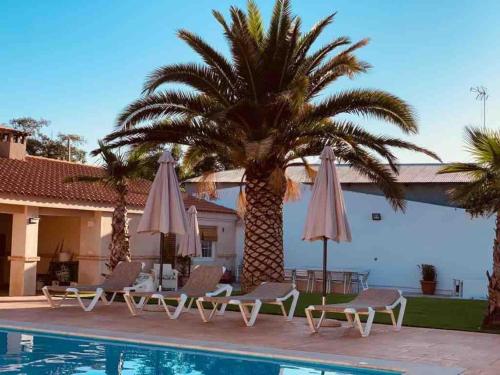 Galeriebild der Unterkunft CASA RURAL VILLARRUBIA in Villarrubia de los Ojos