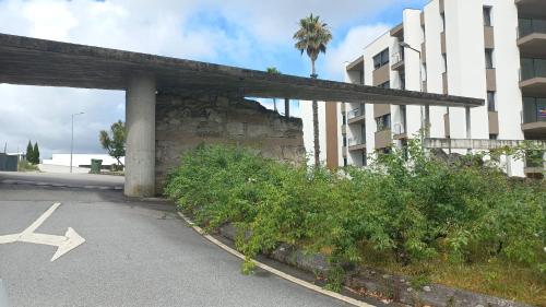 an empty parking lot with a palm tree and a building at Ferrara Rooms in Paços de Ferreira
