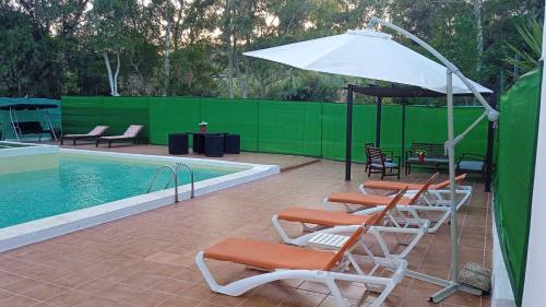 - un groupe de chaises et un parasol à côté de la piscine dans l'établissement El Salao, à Olvera