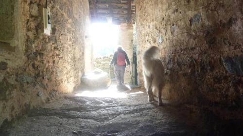 a person walking through an alley with a dog at Giuditta FreeCarPark&Garden in Domodossola