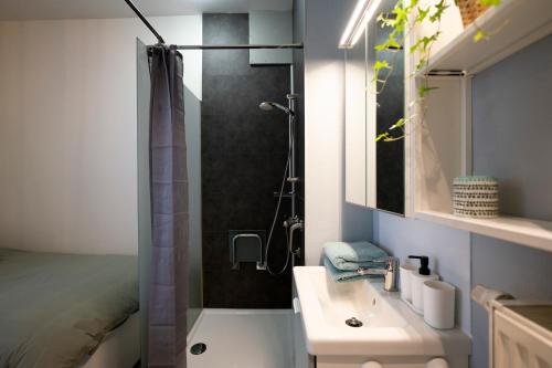 斯帕的住宿－Studio L'Épicurien，一间带水槽和淋浴的浴室
