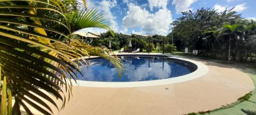 einen Pool im Garten mit Palmen in der Unterkunft Vila dos Lírios -Tranquilidade e Natureza in Imbassai