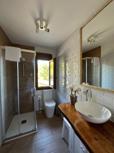 a bathroom with a sink and a shower and a toilet at AIRE DE PICOS in Brez