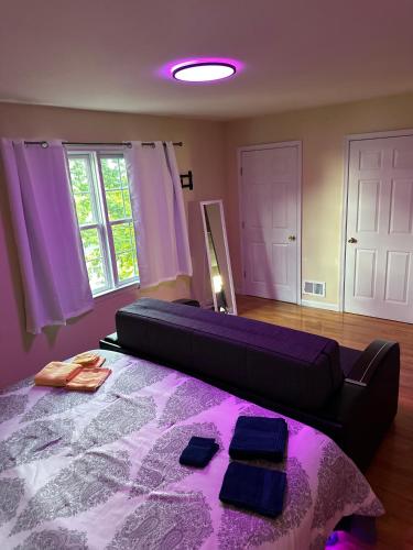 a couch in a living room with purple lighting at Pipo’s perfect place in Jersey City