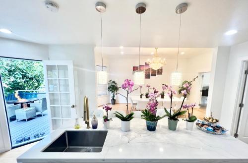 una cucina con lavandino e fiori su un bancone di New Modern Spacious 4bdr Home by Golden Gate Park a San Francisco