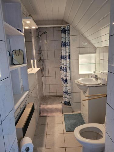 La petite salle de bains est pourvue de toilettes et d'un lavabo. dans l'établissement Cosy one-bedroom apartment in De Haan, au Coq