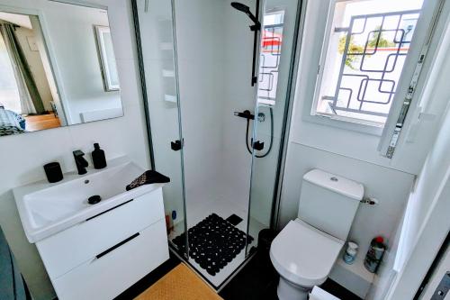 une salle de bain avec toilettes, lavabo et douche dans l'établissement Studio indépendant, calme, avec parking privé et grand jardin, proche de Toulouse, à Villeneuve-Tolosane
