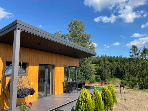 a house with a porch with a swing at Grey apartments in Slavske