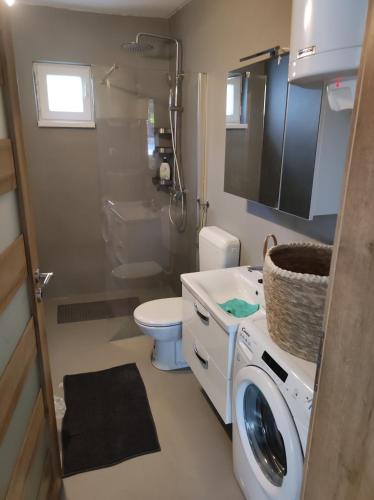 a bathroom with a washing machine and a toilet at Veranda in Saborsko