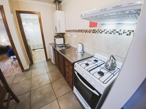 a small kitchen with a stove and a sink at La Posta Apart in Ushuaia