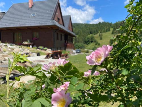 a house with pink flowers in front of it at Chata Dolina v Bachledke in Ždiar